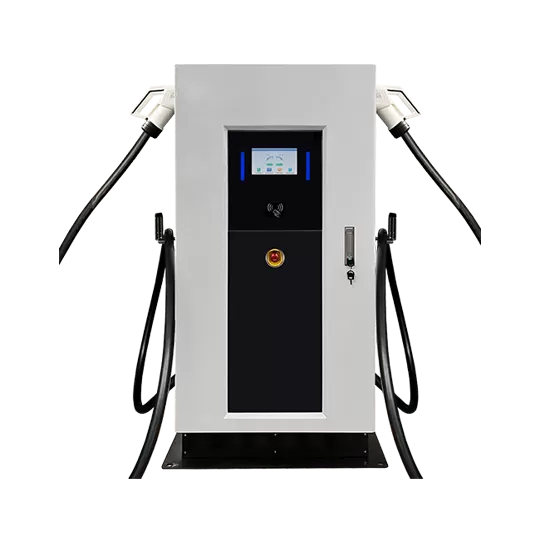 ¿Por qué elegir nuestro cargador Eco EV?